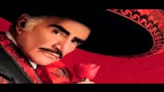 MIX VICENTE FERNANDEZ [upl. by Clarinda498]