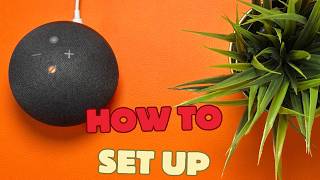 How To Set Up Echo Dot [upl. by Laraine636]