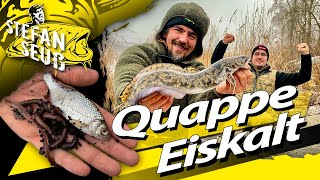 ANGELN auf Quappe EISKALT  WINTER Camping am Fluss  MIT Köderfisch und Tauwurm zur MEGA Quappe [upl. by Alyakcm4]