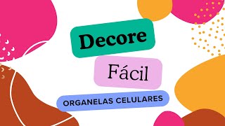 Truque para decorar fácil  organelas celulares [upl. by Adala]