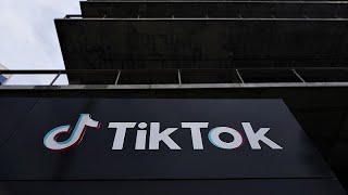 ЕС требует quotсрочныхquot ответов от TikTok о выборах в Румынии [upl. by Ollie728]