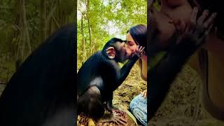 nature animals explore funny [upl. by Atiraj]