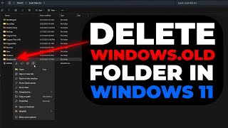 How to Delete Windowsold Folder in Windows 11  Free Up Space Easily [upl. by Anaujik]