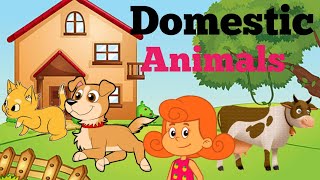 Domestic Animals Name English And Hindi me [upl. by Merrie]