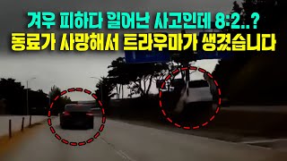 22884회 1명이 사망하고 3명이 중상입니다 갑자기 끼어들어서 피하려다 사고가 발생한 건데 왜 82로 마무리가 되어야 하나요 [upl. by Senilec]