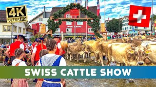 Swiss Custom 🇨🇭Cattle Show Urnäsch Part 1🐮 the cows come to the show  yodeling at the square 🫶 [upl. by Doowron]