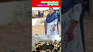 IncubatorReelsManufacturingTrending Agriculture Vivasayam tamilreelstrending [upl. by Atteniuq]