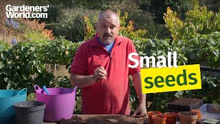 How to sow small seeds [upl. by Aiken]