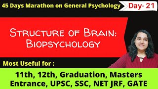 Structure of Brain explained in detail biopsychology General Psychology in Hindi Mind Review [upl. by Allenrac]