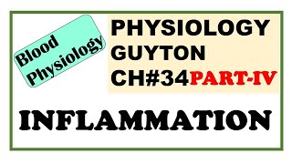 Ch34 PART4 Physiology Guyton  Events in Inflammation  Role of Neutrophils amp Macrophages [upl. by Marna]