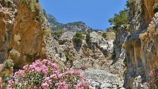 Abenteuer Rouvas Schlucht Wanderung Kreta Urlaub [upl. by Ymmac490]