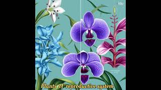 Reproductive system of plants plants reproductivesystem shortvideo viralvideo trending [upl. by Niffirg104]