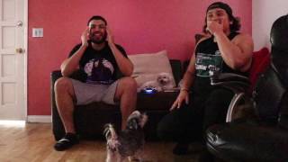 REACTION TO THE HARDY BOYZ RETURN AT WRESTLEMANIA 33 [upl. by Chauncey]