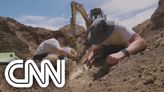 Fóssil de elasmosaurus é encontrado na Austrália  LIVE CNN [upl. by Fulmer]