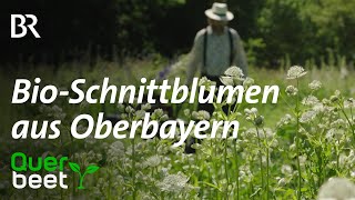 BioSchnittblumen aus Oberbayern [upl. by Wiley670]