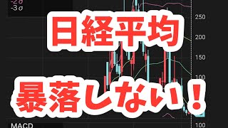 日経平均反発！騙し上げ？暴落？空売り勢破産！日経225先物オプション大量売りヤバイAIバブル崩壊の必然ハイパーインフレ暴落？日経平均は42000円【SampP500依存をやめよ】インド株新NISA [upl. by Gayleen]