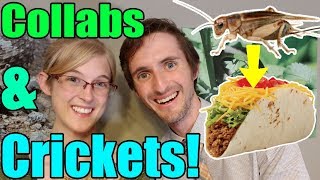 COLLAB With Clints Reptiles We Eat Cricket Tacos [upl. by Shih]