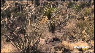 Hunting the Elusive Aoudad MeatEater TV [upl. by Nylekoorb]