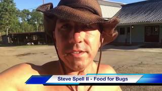 The Deer Fly bite in Livingston Parish Louisiana Surviving Deer Flies [upl. by Aborn]