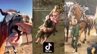 Horse Videos That Went Viral 1 [upl. by Kiona]