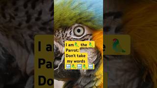 I am the ParrotDont take my words back petcollective PetsSwag MyLoveGolden66 Petsman0 [upl. by Graig659]