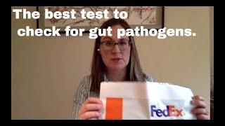 Testing for Parasites H Pylori Candida and more with an athome kit [upl. by Esoranna795]