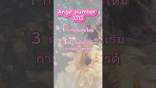 Angel number 1313 ความหมาย เลขนางฟ้า 1313 angelnumbers astrology angelnumber 1313 เลขนางฟ้า [upl. by Sanfourd]