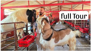 MD Goat Farm Ramadan Series 2024  Full Farm Tour [upl. by Krisha]