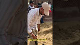 yarra ve  karamjit Anmol Sippy gill  newsong newsong livepunjabimusic bts rajsthan bikaner [upl. by Appleton]