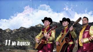 Mi Riqueza  Los Plebes del Rancho de Ariel Camacho  DEL Records 2016 [upl. by Yesiad]