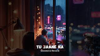 Tu Jaane Na SlowedReverb Atif Aslam  Golden Waves [upl. by Nur]