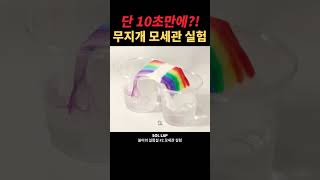 수상할 정도로 긴 1초 무지개다리 experiment science capillary capillarity rainbow bridge 모세관현상 모세관 [upl. by Ahasuerus648]