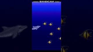 Ecco The Dolphin Game 156 [upl. by Sokem]