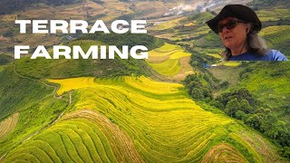 The Simple Secret to Farm Terrace Building [upl. by Kovacs]