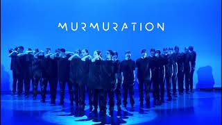 Teaser du spectacle MURMURATION by Sadeck Berrabah [upl. by Raquela]