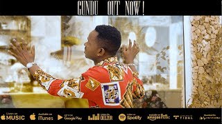 Lava Lava  Gundu Official Music Video [upl. by Yseult861]