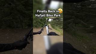 Back in Hafjell Bike Park 2024🔥🤩 HafjellBikePark mtb downhill gopro mountainbike shorts [upl. by Wilhelm]