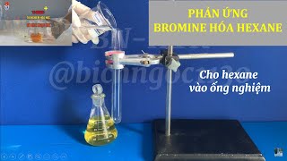 PHẢN ỨNG BROMINE HOÁ HEXANE hoacobichngoc hexane [upl. by Zucker592]