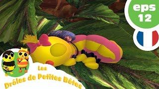 DRÔLES DE PETITES BÊTES  EP12  La colère de la Reine [upl. by Maisel]