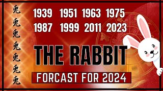 Chinese Rabbit Forecast For 2024  quotWhat Does 2024 Have In Store For Youquot [upl. by Gujral947]