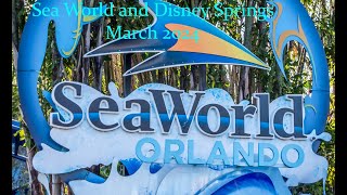 Sea World Disney Springs and Orlando 2024 disney seaworld disneysprings orlando [upl. by Lelith]