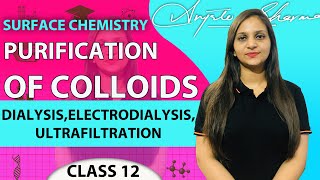 PURIFICATION OF COLLOIDS  DIALYSISELECTRODIALYSISULTRAFILTRATIONSURFACE CHEMISTRY  CLASS 12 [upl. by Ylecic]