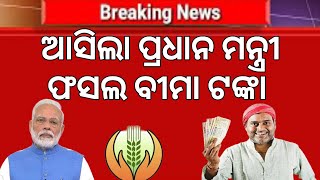 pmfby new update odisha  PMFBY  Pradhan Mantri Fasal Bima Yojana  Agriculture amp Farmers Walfare [upl. by Notsgnal]