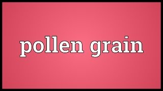 Pollen grain Meaning [upl. by Araihc]