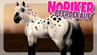 NORIKER PFERDEKAUF 🐴  Star Stable SSO [upl. by Fairweather]