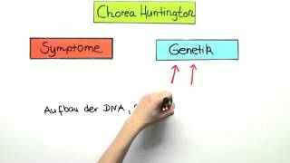 Chorea Huntington  Biologie  Genetik [upl. by Allesiram944]