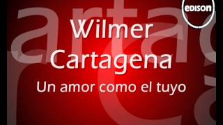 Wilmer Cartagena Un amor como el tuyo [upl. by Enovad]