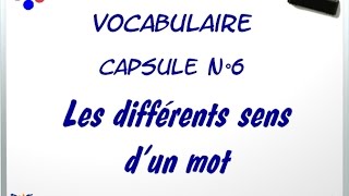 V6  Les différents sens dun mot  La polysémie 6 [upl. by Annaek]