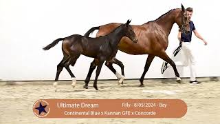 37 Ultimate Dream [upl. by Jacqui]