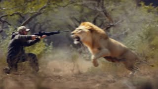 Why You Should NEVER Go Lion Hunting [upl. by Aneetak]